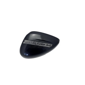 Coque rétroviseur gauche C4 Spacetourer