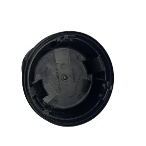 Cabochon cache poussière Peugeot 307