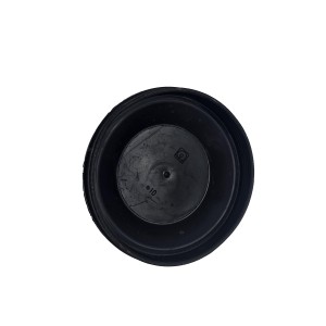 Cabochon cache poussière Audi