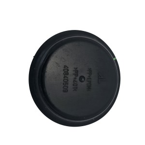Cabochon cache poussière Peugeot 307