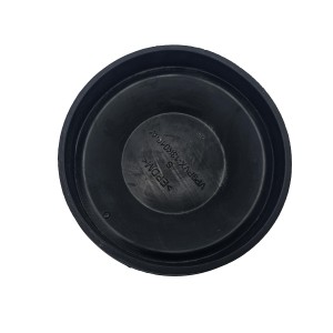 Cabochon cache poussière Citroën C5